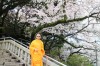 _IMG_4402 - Boon riN ขนาดใหญ่.jpeg